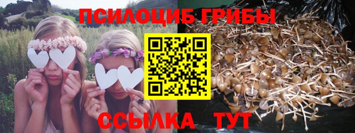 Псилоцибиновые грибы Magic Shrooms  Вход с VPN  Ачинск  Псилоцибиновые грибы GOLDEN TEACHER 