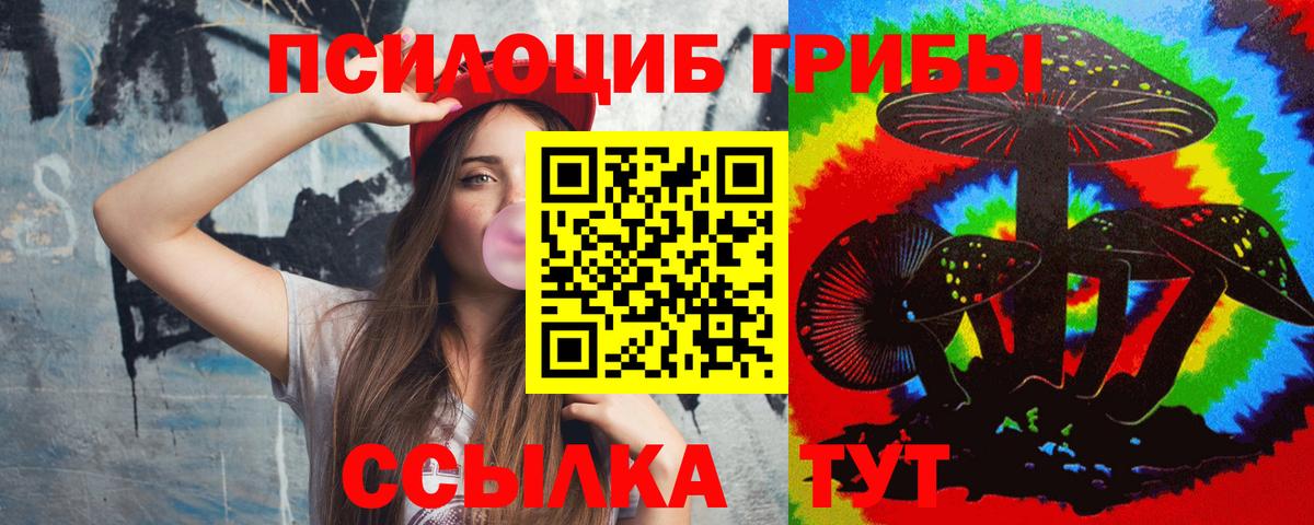 Псилоцибиновые грибы мицелий Ачинск