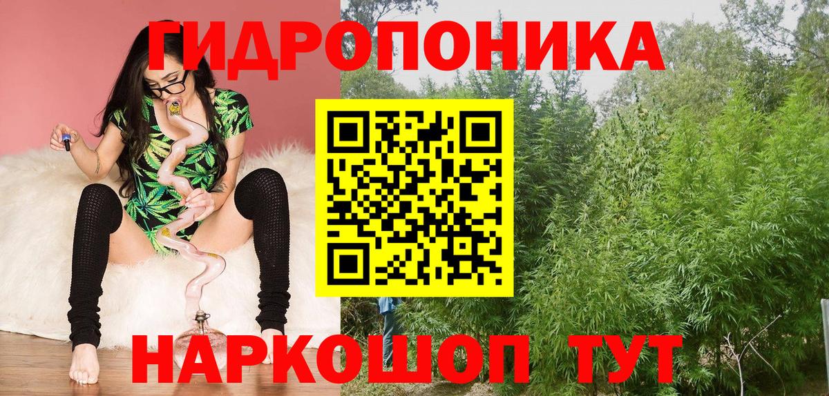 Конопля марихуана Ачинск